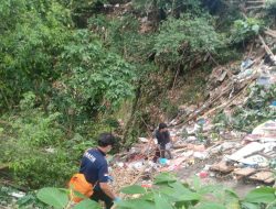Sebuah Tragedi Kemanusiaan: Bayi Perempuan Ditemukan Tercerai Berai di Bibir Ngarai Sianok