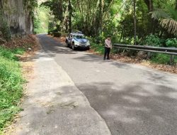 Ngarai Sianok Berduka: Rem Blong di Kelok S Tewaskan Penumpang Mio