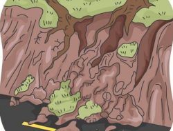 Fakta Pergerakan Tanah di Lembah Ngarai Sianok: Warga Ungkap Tanda-Tanda Sebelum Terjadi