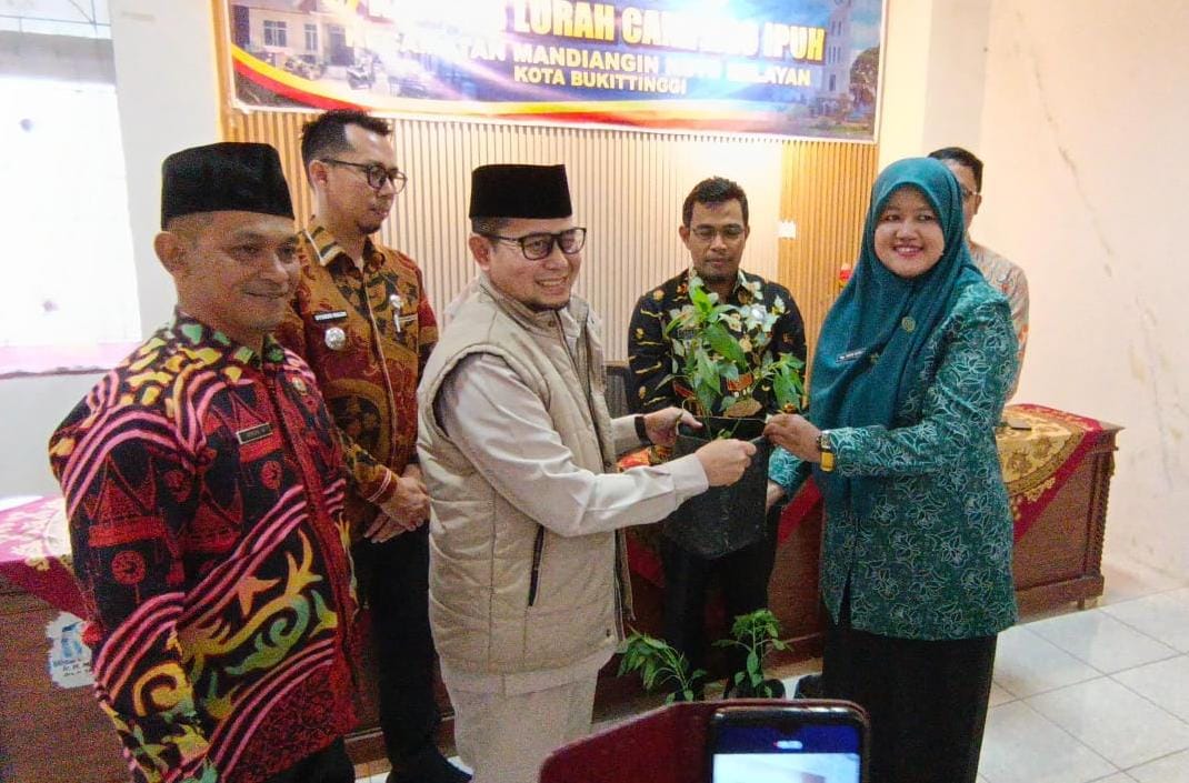 Pemkot Bukittinggi Sebar Ratusan Bibit Cabai untuk Perkuat Ketahanan Pangan